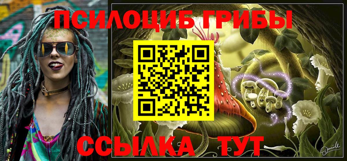Галлюциногенные грибы Psilocybe Нурлат