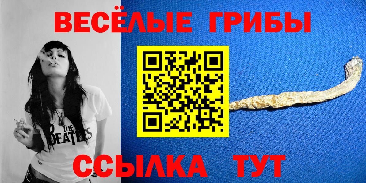 Псилоцибиновые грибы Psilocybine cubensis  Псилоцибиновые грибы Psilocybe  где купить наркотик  Вход с VPN  Нурлат 